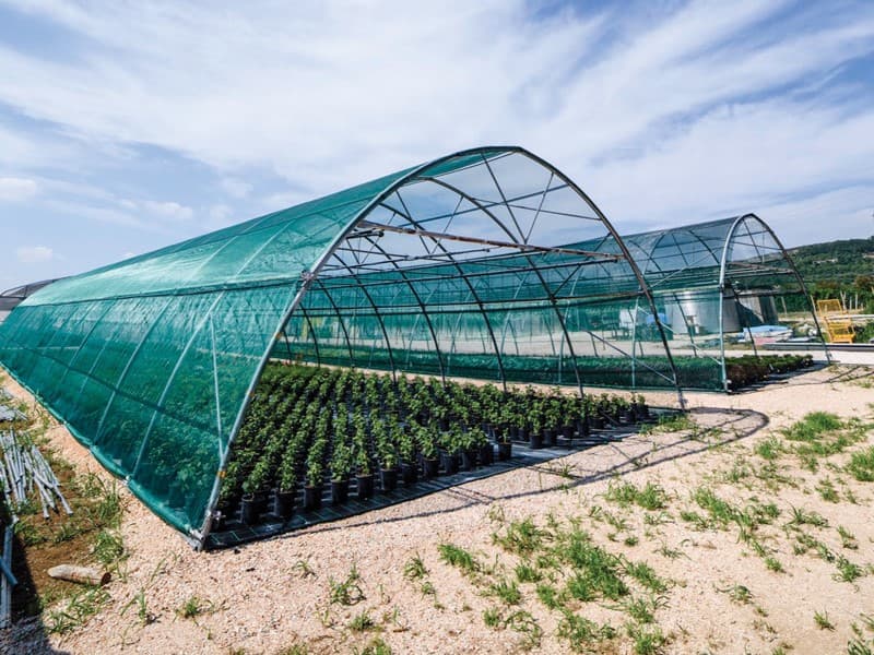 Greenhouse Solutions