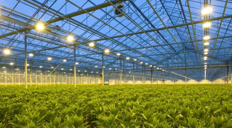 Climate Control Greenhouse