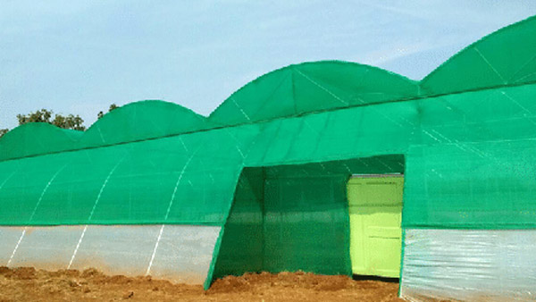 Tunnel Type Net House